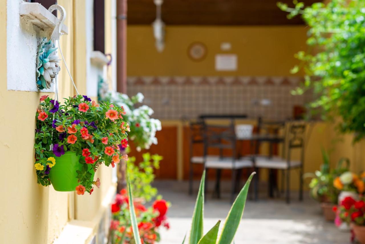 B&B Martina Agropoli Exterior foto